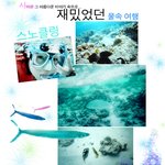 싸이판으로 ★ 날개를 달고.........``