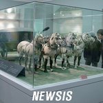 진시왕의 <b>유물</b>