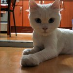 <b>유키</b>입니다*^^*