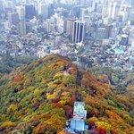 <b>남산</b>-