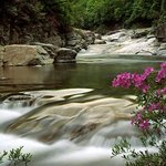 봄의 <b>향연</b> 01