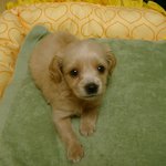이쁜 우리 <b>솔이</b>