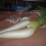 이것이 진정한 <b>s라인</b>