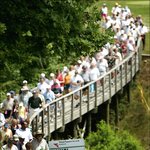 <b>미셸</b> 위 "나를 따르라" 신드롬