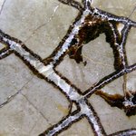 동 표면 <b>무늬</b> 03