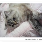 우리 <b>몽이</b>~~