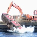 뉴욕지하철, 죽어서 물고기를 남긴다