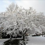 경관이 좋아서 혼자보기가 아깝<b>내요</b>2