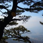 봐줄만해서 올립<b>니더</b>예41