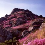 <b>여수</b> 영취산
