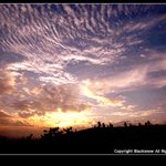 <b>월미</b>공원을 아시나요..[ + bgm ]