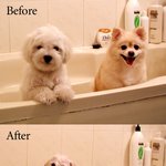 before  ~ <b>after</b>