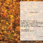 the <b>great</b> scenery