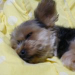 우리<b>단비</b>입니다.