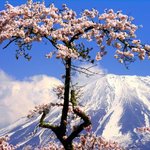 걍 올립<b>니더</b>예2