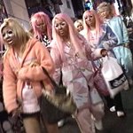 일본<b>오크들</b>............접근하기 두렵다...