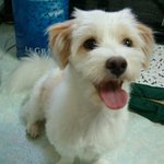 뻔뜩<b>이</b> 낮짝<b>버</b>젼~~