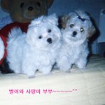 <b>울</b> <b>애기</b>들