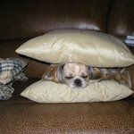 잘<b>자라</b>~!