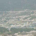 계속해서 올립<b>니더</b>예
