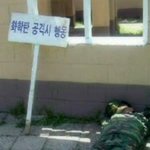 <b>예비군</b>들은 캐공감