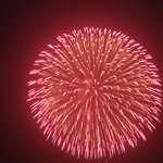 제4회 포항<b>불빛</b>축제