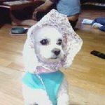<b>짱이</b> 벌서기~