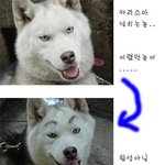 <b>낙서</b>의 위력