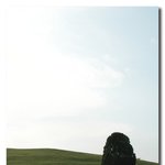 돌기 *^^* (bgm : in a <b>beautiful</b> season)