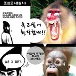조삼모사! 이보다 더 정확할수는없다! <b>실사</b>판!