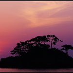 오늘도 무사히 올립<b>니더</b>예