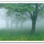 사진이 잘 나왔<b>내요</b>