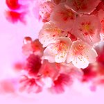 <b>바탕</b>화면11