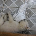 잠이 오냐? ㅎㅎㅎ