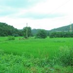 논과 <b>야산</b>이 있는 전원