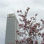 신반포 <b>고속</b> 터미날 에서....