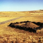 칼라와 흑배 <b>대조</b>....