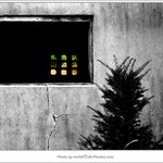 past...&amp; the <b>present</b>...
