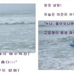 얼어죽을 뻔한 해수욕
