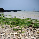 소라에서는 <b>바닷소리</b>가 들린다.