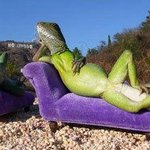 <b>혜성</b>처럼 나타난 신인모델 포즈굳ㄷㄷㄷ
