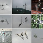 바람<b>개비</b> 다 모였네