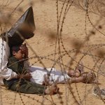 2004년 세계 보도 사진전