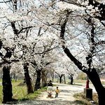 한장씩 올립<b>니더</b>예...!
