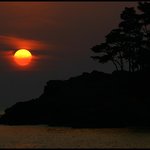 오늘도 무사히 올립<b>니더</b>예2