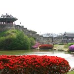 오랜만에 <b>올리</b>내예19