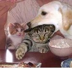 야이 개<b>xx</b>애 안놔!!