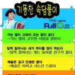 기똥찬 속담<b>풀이</b>!