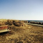 칼라와 흑백의 <b>대조</b>...