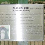 <b>응큼</b>한 원숭이!